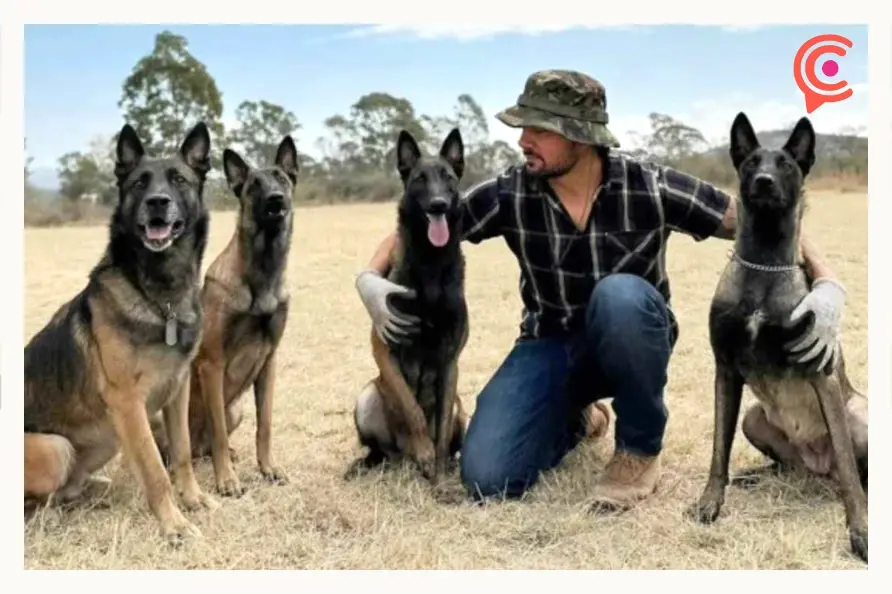 “Rex”, perro rescatista de Cruz Roja Puebla es imagen del billete de la Lotería Nacional Mexicana