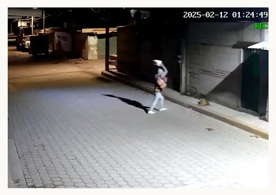 “Huesitos” recibió una pedrada mientras dormía en Santiago Miahuatlán, Tehuacán; agresor quedó captado en vídeo