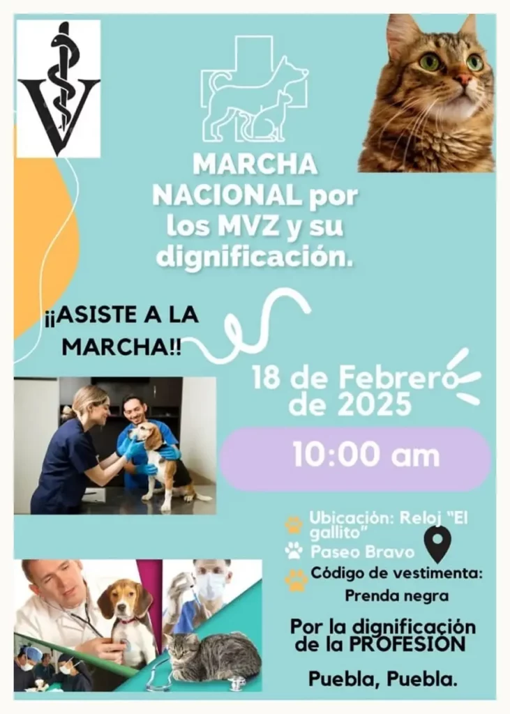 Puebla se unirá a la marcha nacional por los veterinarios tras asesinato de médico