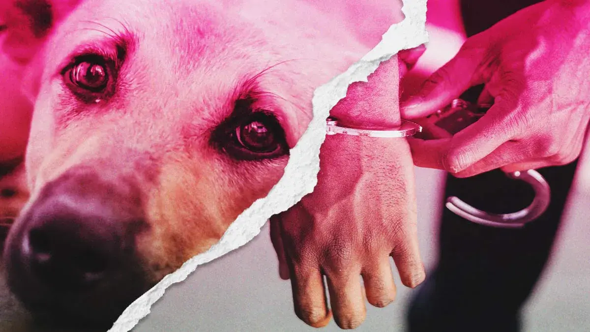 Detienen al agresor de “Huesitos” por maltrato animal en Santiago Miahuatlán, Puebla  