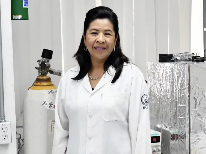 El ICUAP diseña biomaterial capaz de estimular la regeneración de tejido óseo