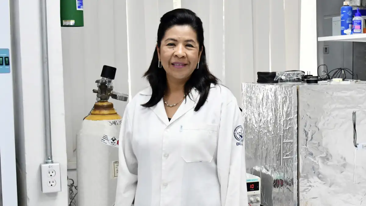 El ICUAP diseña biomaterial capaz de estimular la regeneración de tejido óseo