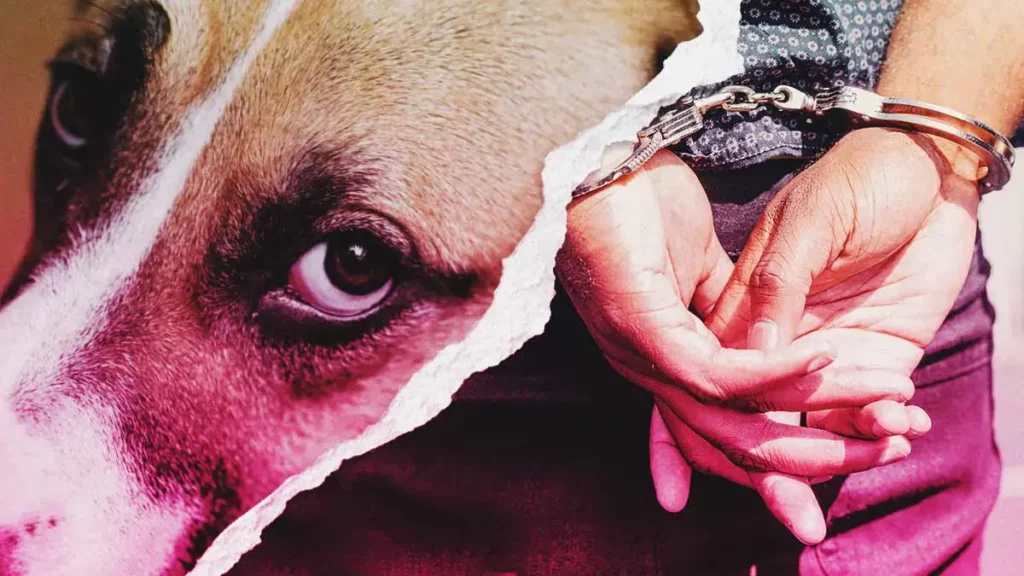 Él es Luis N., el atacante del perro “Huesitos”, detenido en Santiago Miahuatlán