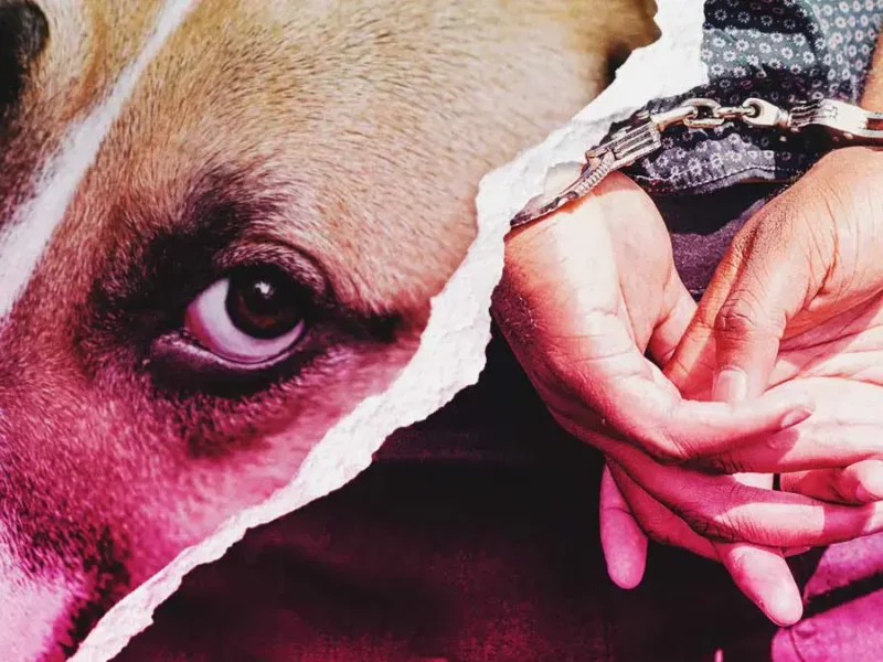 Él es Luis N., el atacante del perro “Huesitos”, detenido en Santiago Miahuatlán