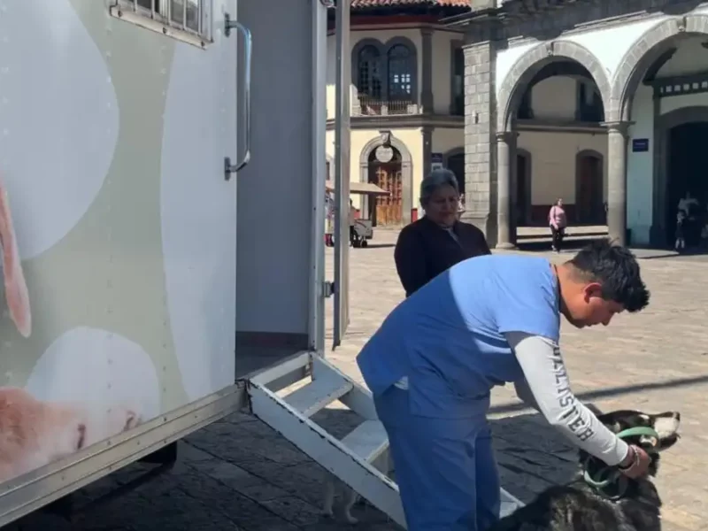 Arranca campaña de esterilización gratuita en Zacatlán