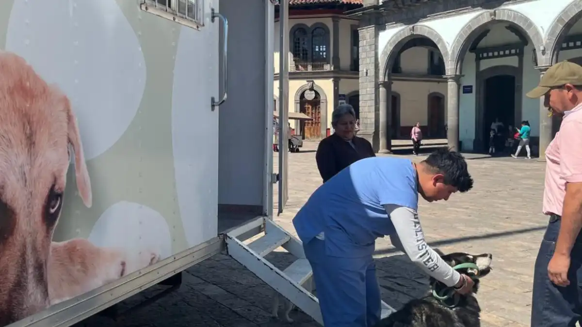 Arranca campaña de esterilización gratuita en Zacatlán