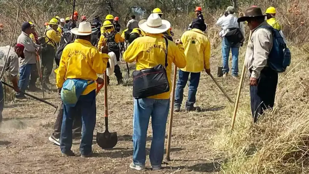 Protección Civil de Puebla registró más de 30 incendios en cinco días