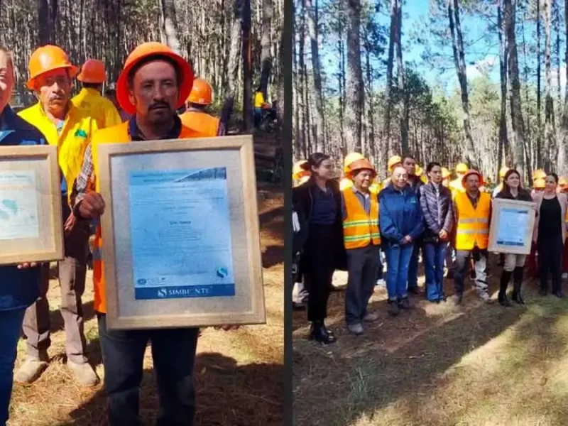 Ejido de Atexca es reconocido a nivel nacional por CONAFOR por su buen manejo forestal