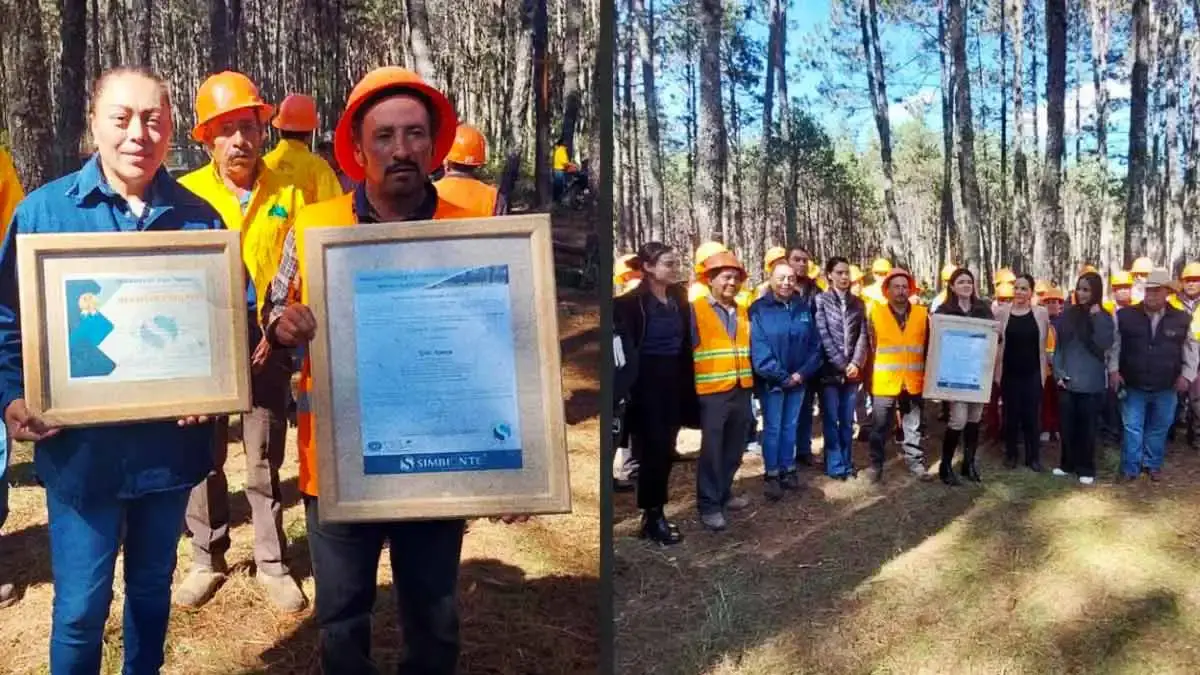 Ejido de Atexca es reconocido a nivel nacional por CONAFOR por su buen manejo forestal