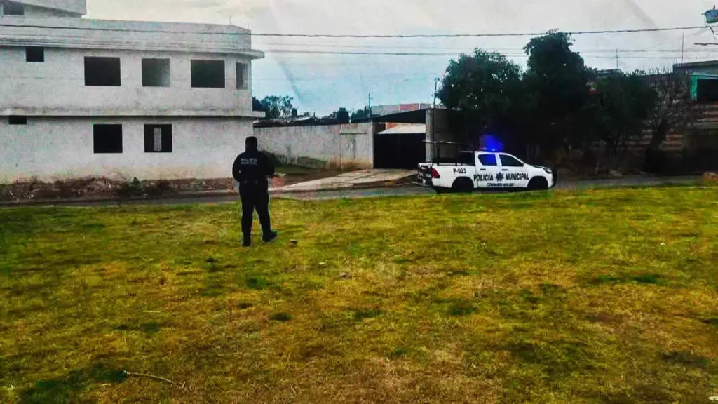 Hombre aventó perros recién nacidos a lote baldío en Coronango, Puebla; lo exhiben en video 