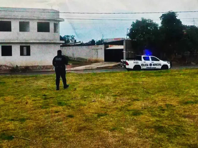 Hombre aventó perros recién nacidos a lote baldío en Coronango, Puebla; lo exhiben en video 