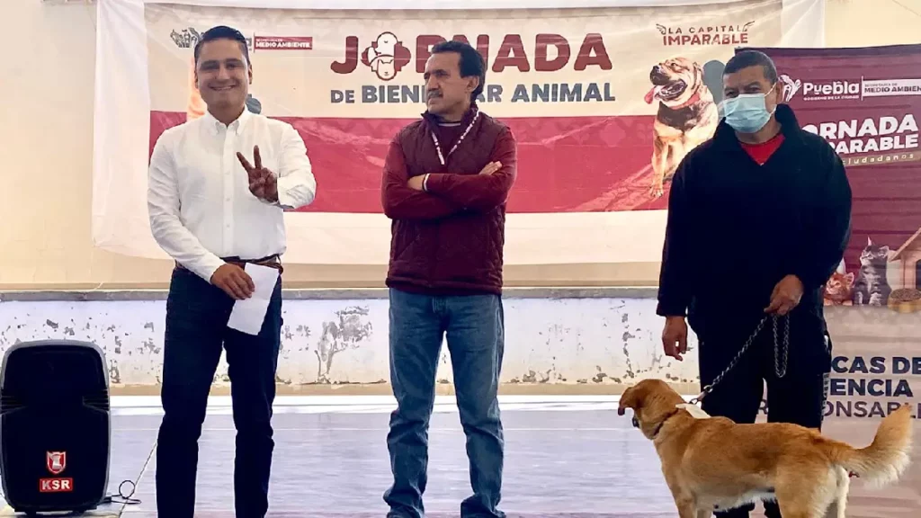 Gobierno de la Ciudad llevó con éxito Jornada de Protección Animal a La Guadalupana