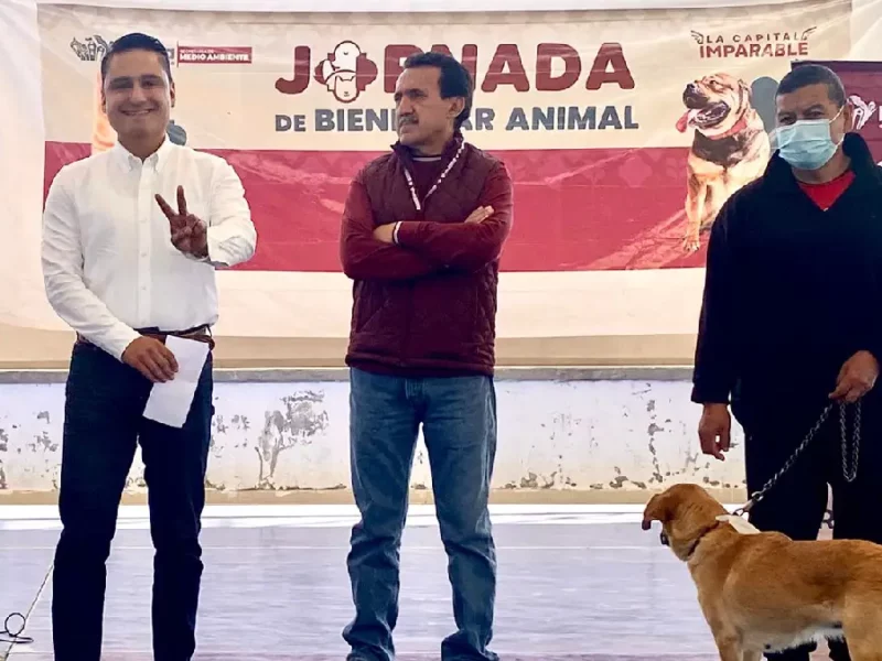 Gobierno de la Ciudad llevó con éxito Jornada de Protección Animal a La Guadalupana