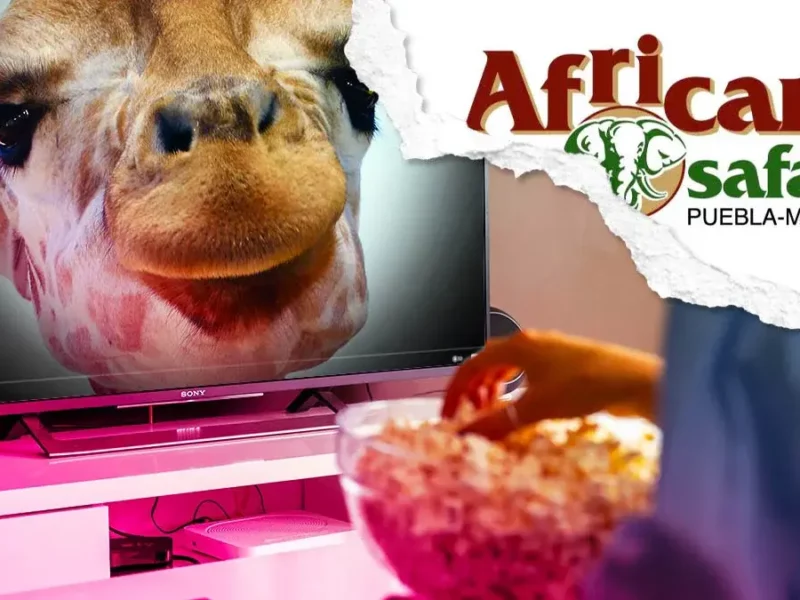 Africam Safari lanzará documental sobre la Jirafa Benito en YouTube