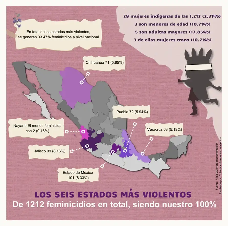 Cicatrices. Feminicidio 2024: la eterna vergüenza 
