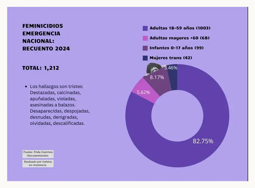 Cicatrices. Feminicidio 2024: la eterna vergüenza