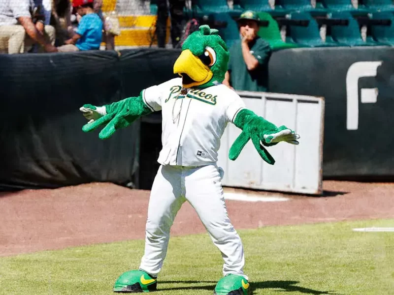 Pericos de Puebla alista 15 juegos de pretemporada rumbo al centenario de la LMB