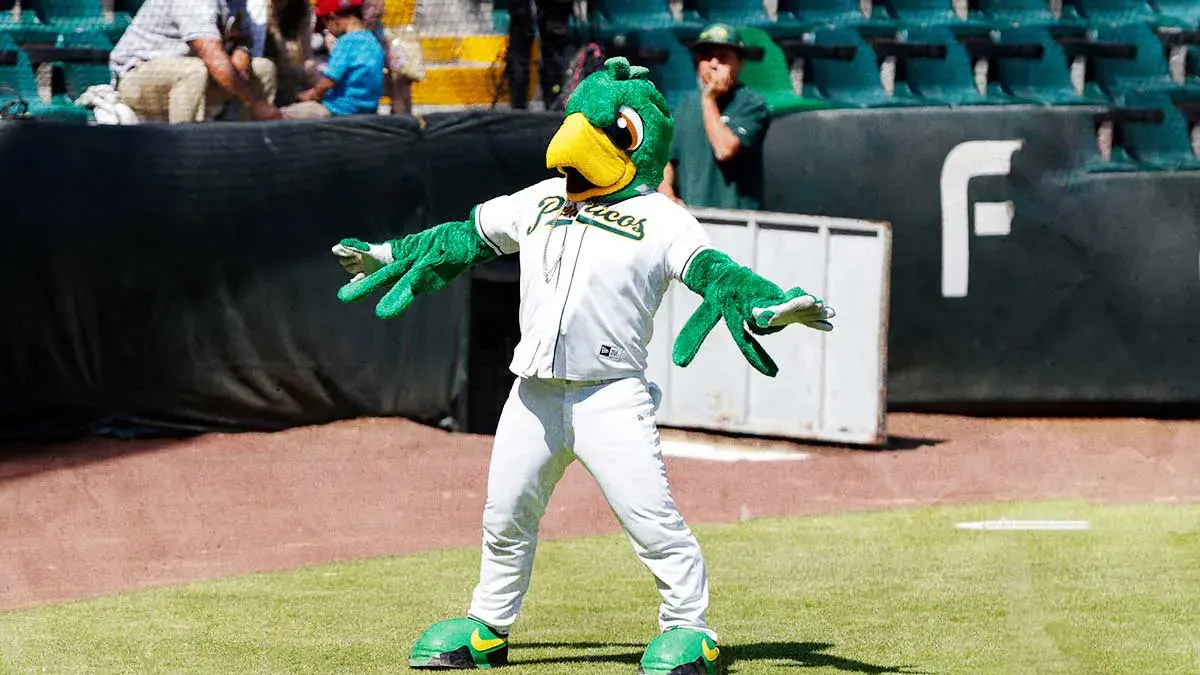 Pericos de Puebla alista 15 juegos de pretemporada rumbo al centenario de la LMB