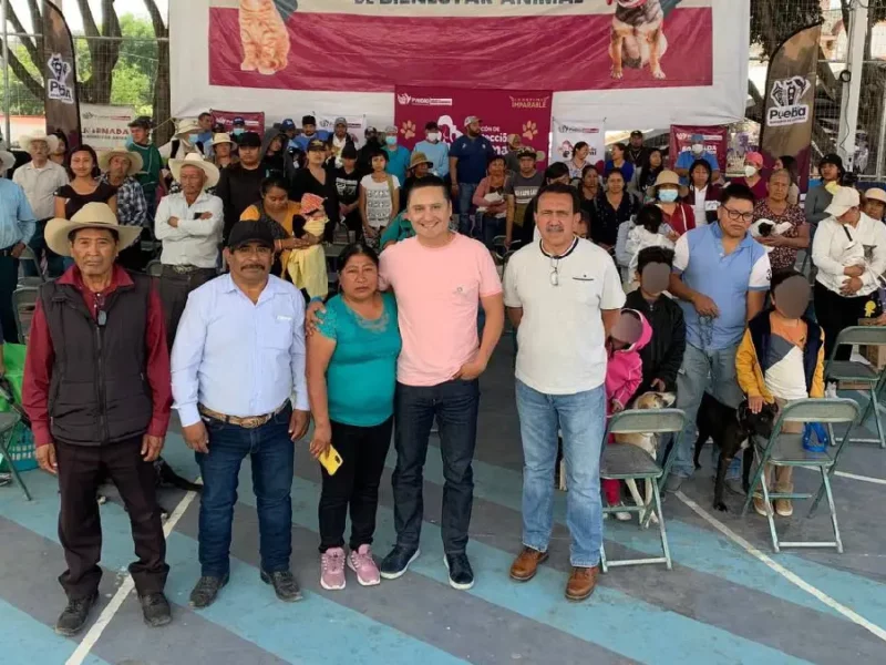 Jornada de Bienestar Animal beneficia a équidos de trabajo, perros y gatos en San Andrés Azumiatla