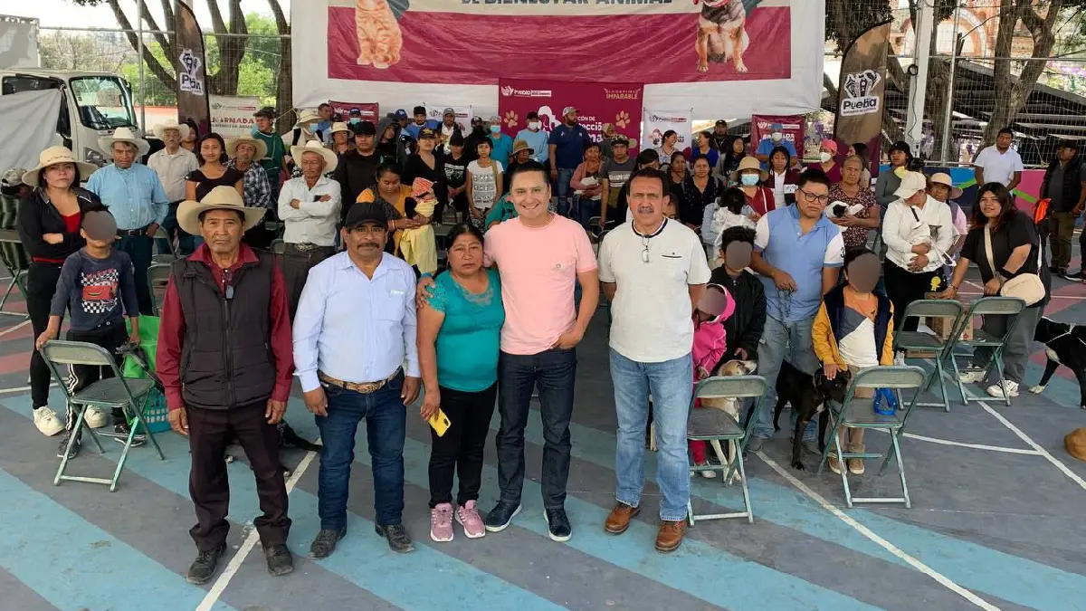 Jornada de Bienestar Animal beneficia a équidos de trabajo, perros y gatos en San Andrés Azumiatla