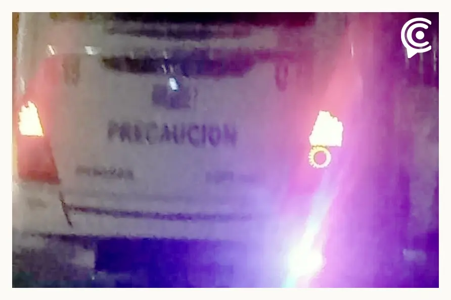 Chofer de transporte público atropelló y mató intencionalmente a perrita en Puebla; pobladores exigen justicia