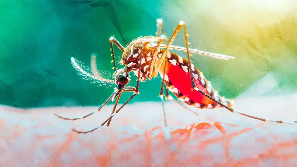 Secretaría de Salud federal confirma 21 casos de dengue en Puebla hasta inicios de marzo