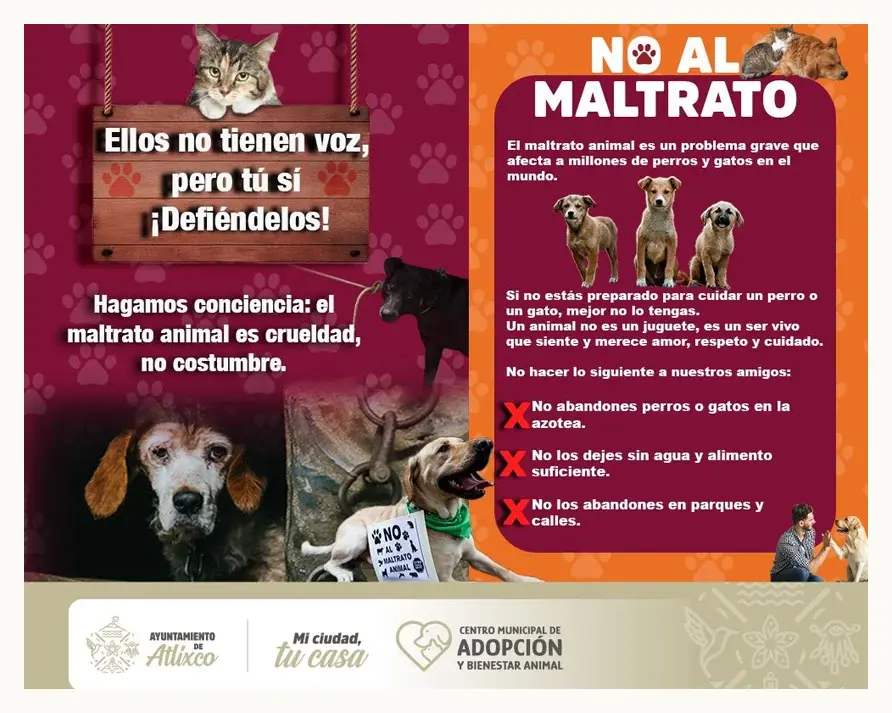 Así puedes denunciar el maltrato animal en Atlixco