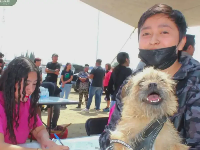 Se lleva a cabo primera macro jornada de esterilización en San Martín Texmelucan