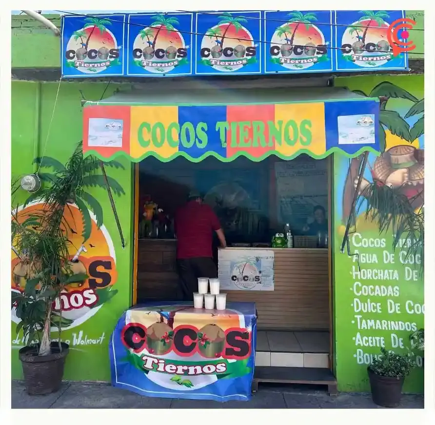 Cocos Tiernos, descubre los sabores tropicales y productos derivados del coco en Puebla