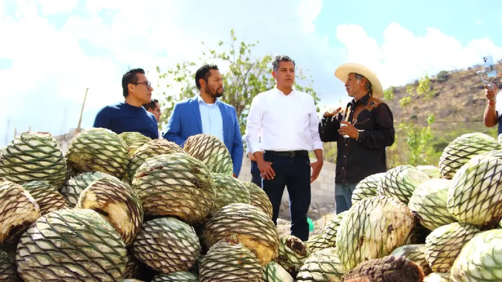 Impulsa Gobierno de la Ciudad tradición mezcalera con asesoría a productores