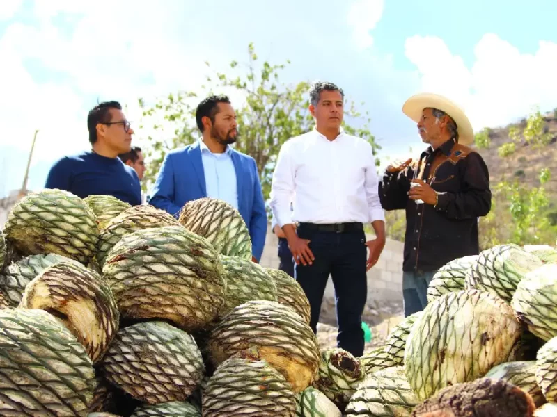 Impulsa Gobierno de la Ciudad tradición mezcalera con asesoría a productores