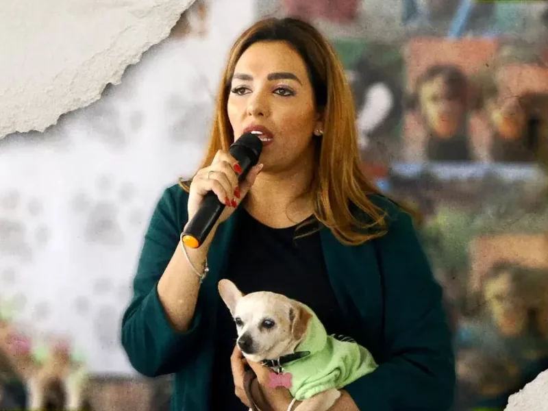Bienestar Animal Puebla contabilizó 807 reportes de maltrato animal durante primer trimestre del 2025  