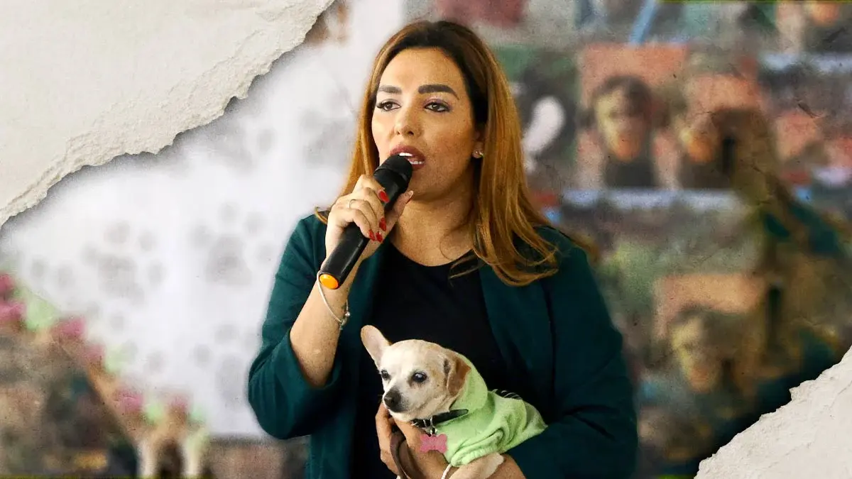 Bienestar Animal Puebla contabilizó 807 reportes de maltrato animal durante primer trimestre del 2025  