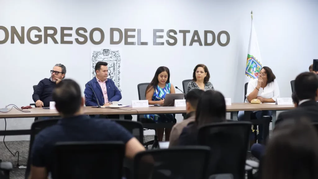 Comisión del Congreso presenta resultados de la encuesta digital dirigida a las ONG