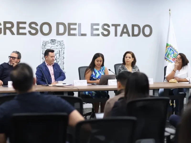 Comisión del Congreso presenta resultados de la encuesta digital dirigida a las ONG