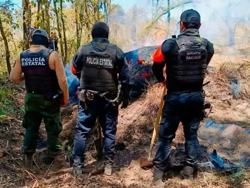 Gobiernos de Puebla y Tlaxcala aseguran más de 200 troncos ilegales en La Malinche