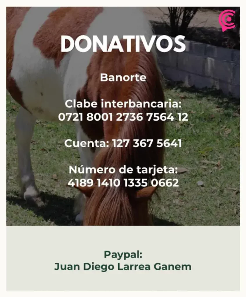 Cuacolandia conmemora a la activista Elena Larrea, a un año de su muerte