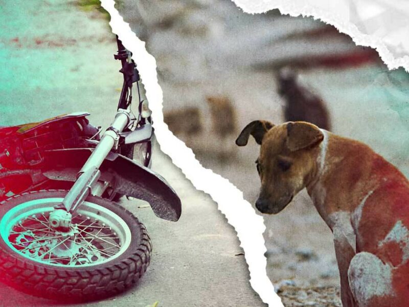 Motociclista intentó esquivar a un perro, derrapó y murió en San Gabriel Chilac, Puebla