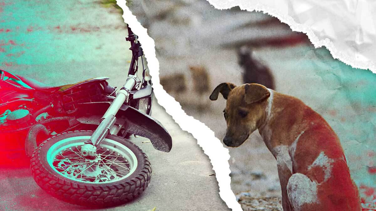 Motociclista intentó esquivar a un perro, derrapó y murió en San Gabriel Chilac, Puebla