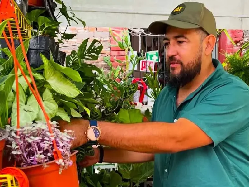 Asiste a la octava edición del Plant Fest en San Pedro Cholula