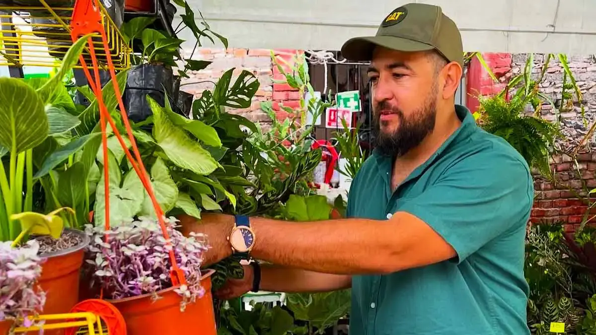 Asiste a la octava edición del Plant Fest en San Pedro Cholula