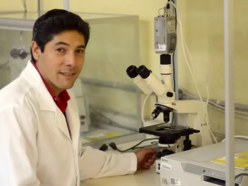 Investigador del Instituto de Fisiología estudia el síndrome metabólico desde sus cambios bioquímicos
