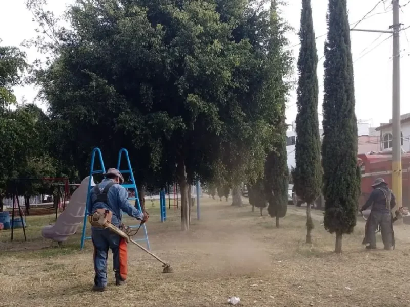 Realiza Gobierno de la Ciudad labores de mantenimiento y limpieza en colonias de la ciudad