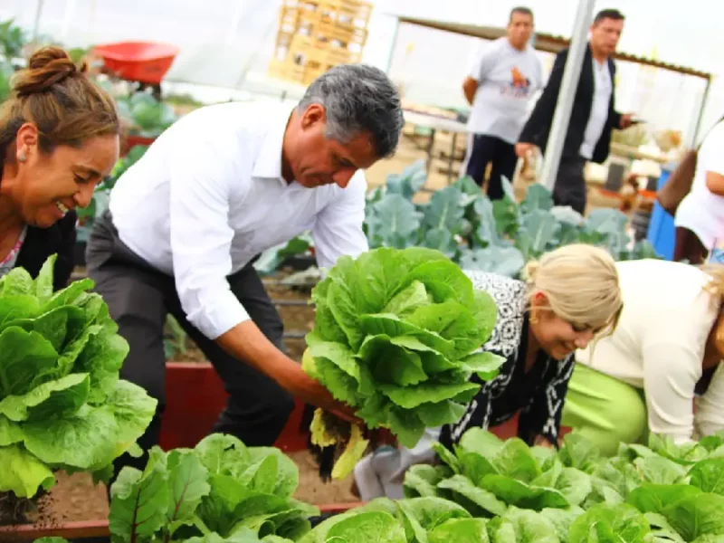 Dona Secretaría de Bienestar municipal lechugas cultivadas en huerto urbano rehabilitado