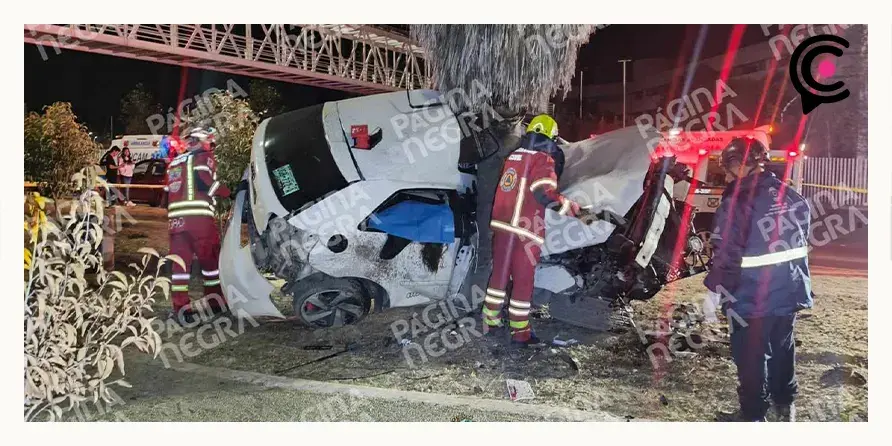 Mujer copiloto murió prensada por choque de auto contra palmera en Cholula, conductor resultó herido