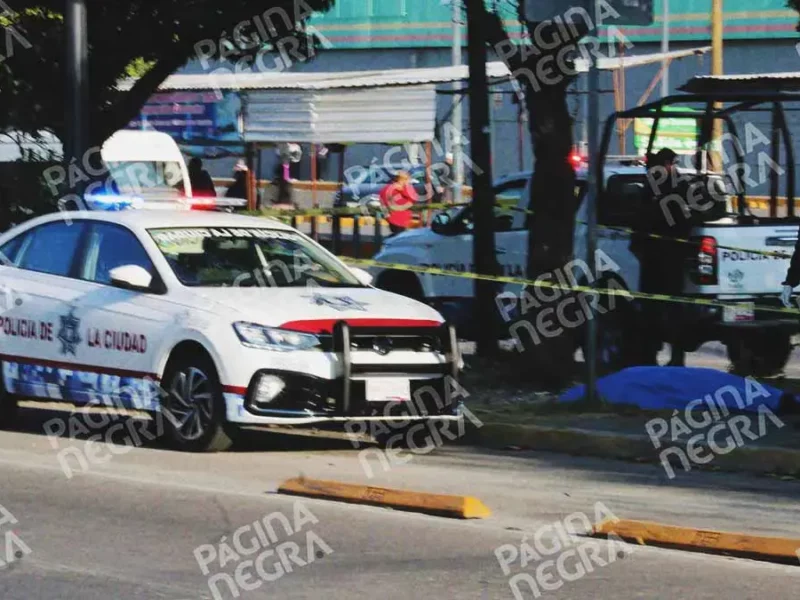 Encuentran a hombre muerto en camellón de bulevar Norte en la Cleotilde Torres, Puebla