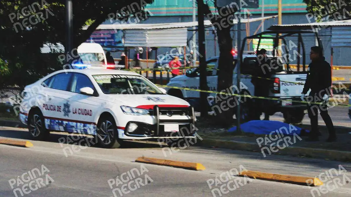 Encuentran a hombre muerto en camellón de bulevar Norte en la Cleotilde Torres, Puebla