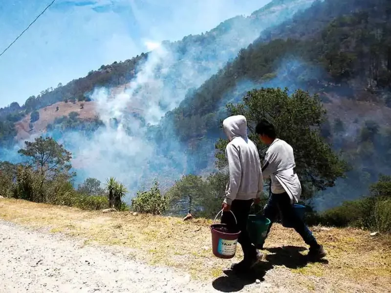 Incendios forestales en Puebla incrementaron 21% de 2023 a 2024; más del 40% fueron intencionales 
