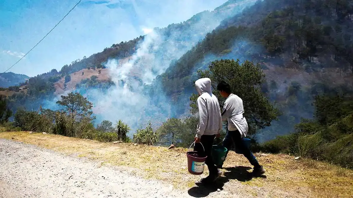 Incendios forestales en Puebla incrementaron 21% de 2023 a 2024; más del 40% fueron intencionales 