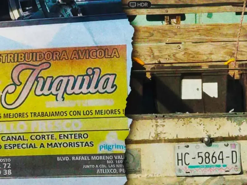 Graban a un hombre que abandonó a su perro en calles de Atlixco 